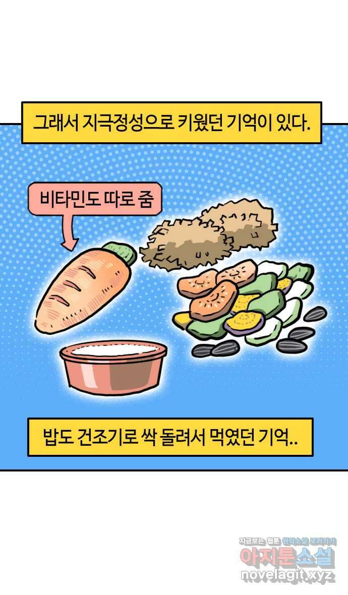 유부 감자 35화 햄스터 레레 (2) 5