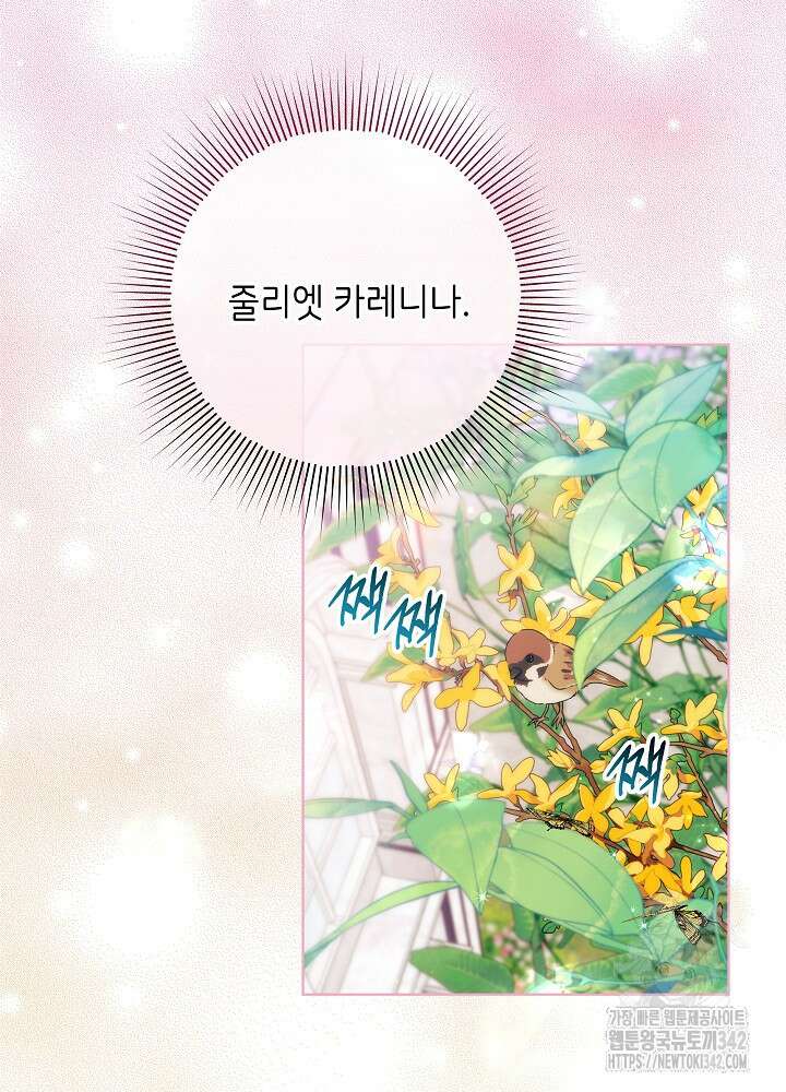 셀럽 레이디 7화 3