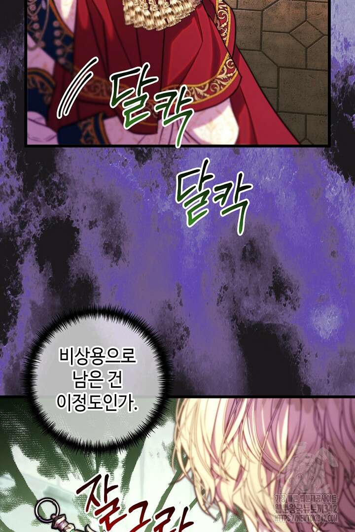 아무튼 로판 맞습니다 99화 16