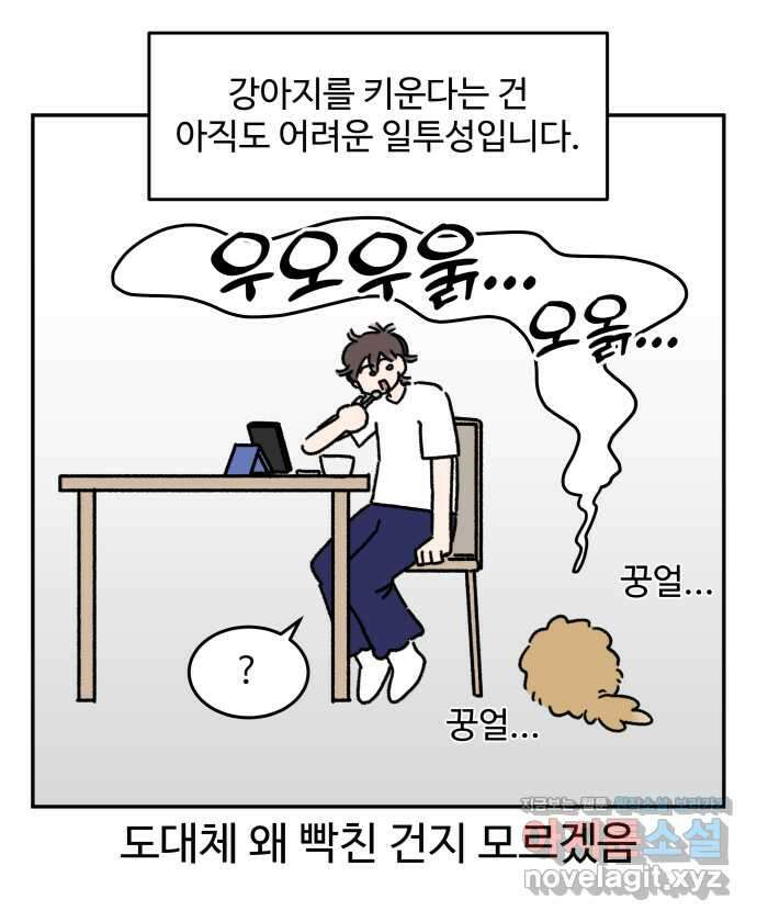 강아지는 멍멍하고 짖지 않아! 110화 - 강아지는 멍멍하고 짖지 않아! 7