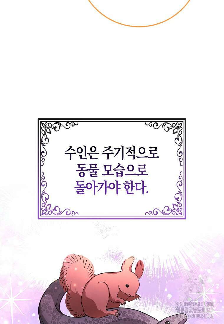 미친 범고래의 애착 펭귄 5화 17