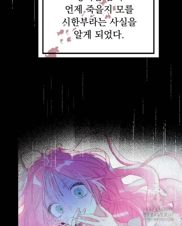 로판을 모르면 죽습니다 2화 19