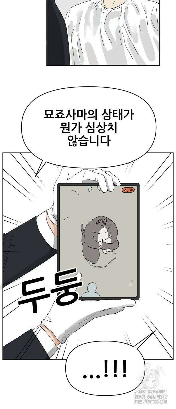 괴양이 56화 13