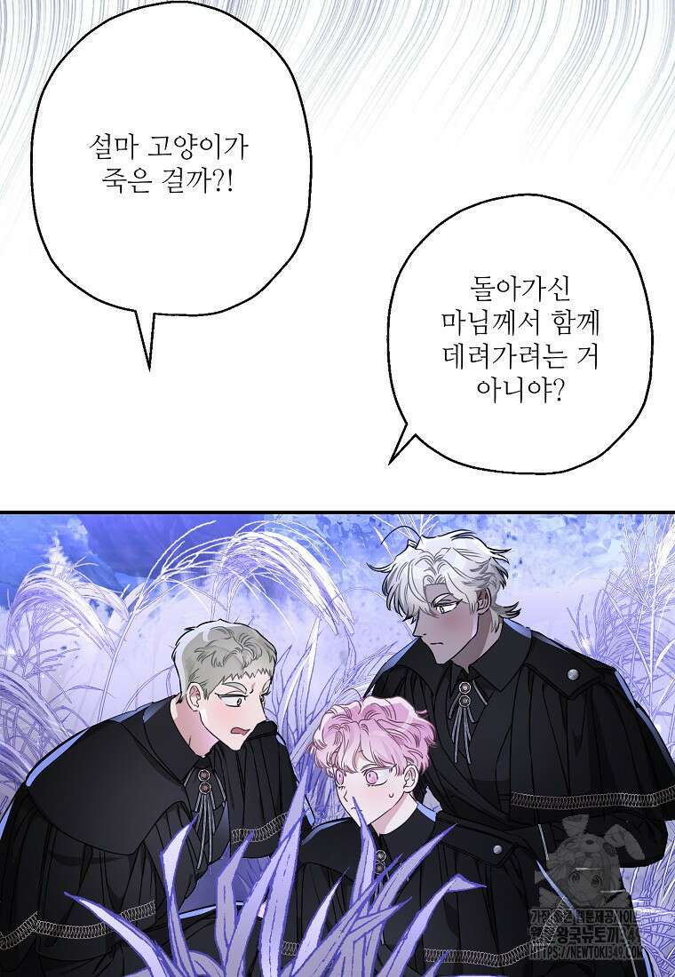 백작가의 사생아가 결혼하면 99화 12