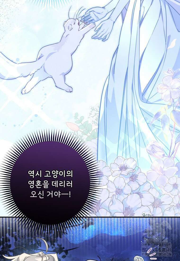 백작가의 사생아가 결혼하면 99화 17