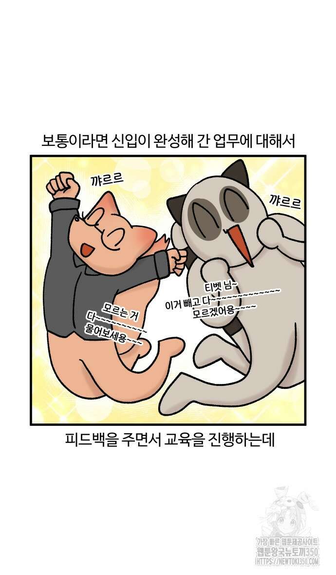 구야는 신입 17화 13
