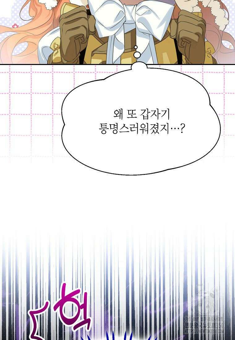악당 가문의 상속녀입니다 40화 12