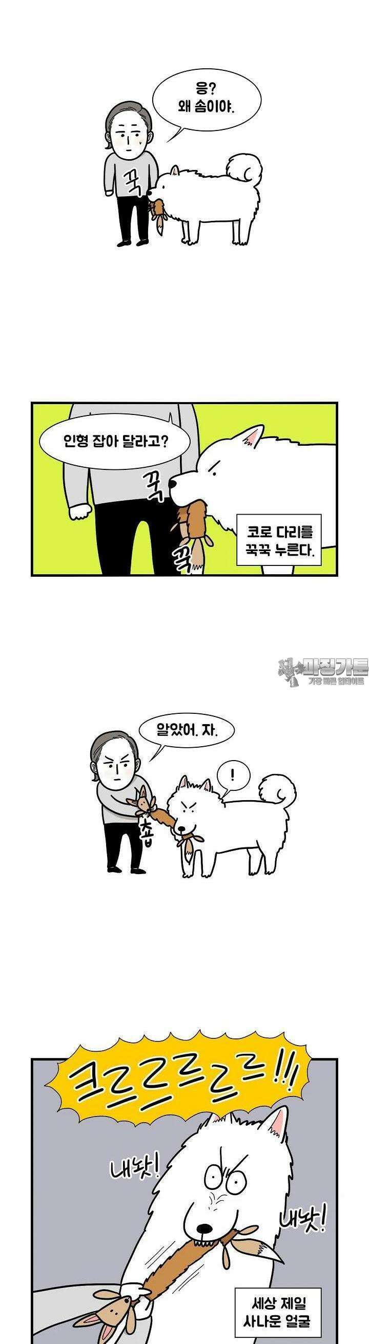 극한견주 7화 놀이 2