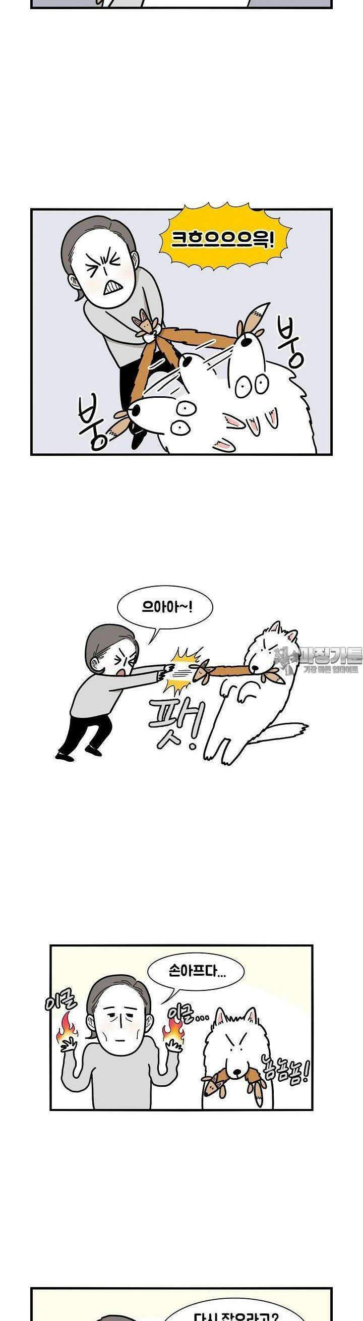 극한견주 7화 놀이 3