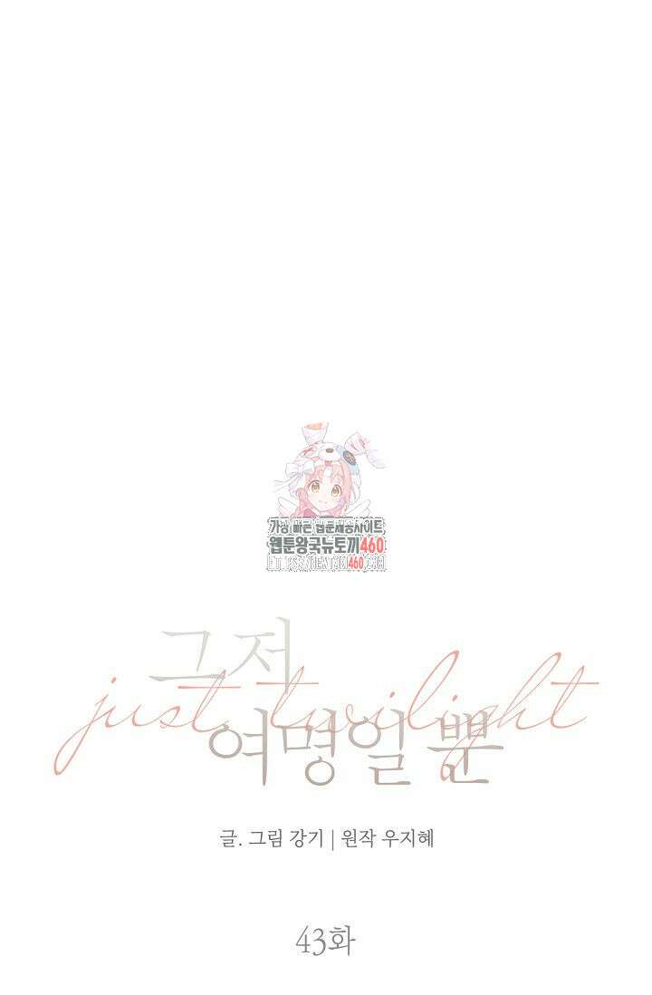 그저 여명일 뿐 43화 1