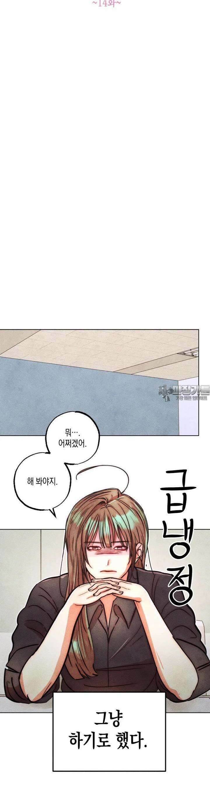 나는 대놓고 신데렐라를 꿈꾼다 14화 24