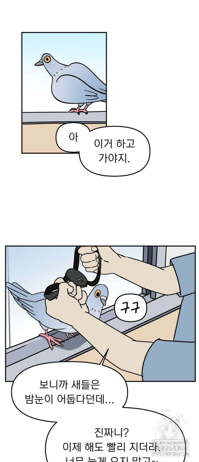 성북구 비둘기 이헌서 21화 3