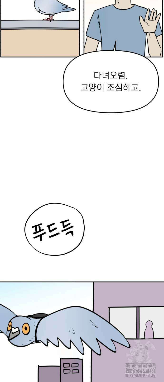 성북구 비둘기 이헌서 21화 5