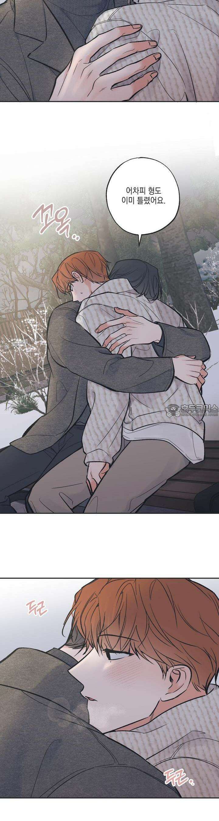 별과 별 사이 혜성과 태양 사이 14화 4