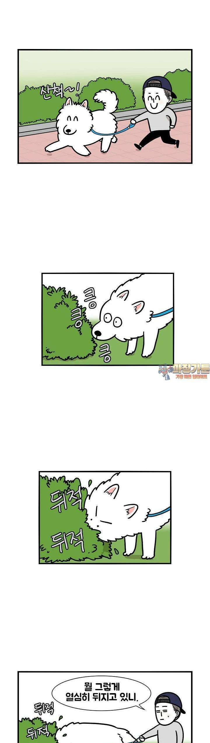 극한견주 17화 솜이가 주웠어 1