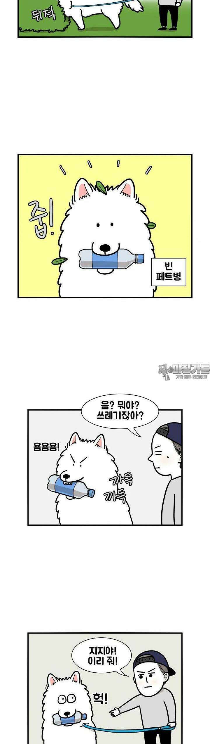 극한견주 17화 솜이가 주웠어 2