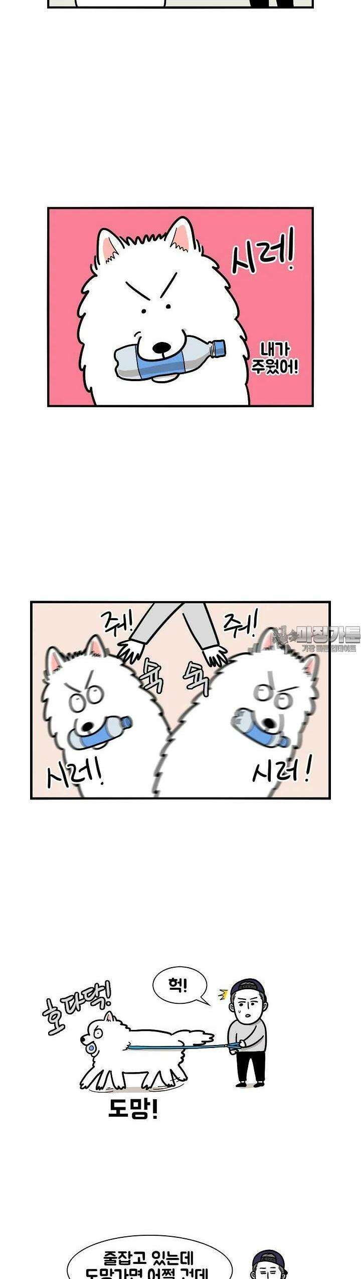 극한견주 17화 솜이가 주웠어 3