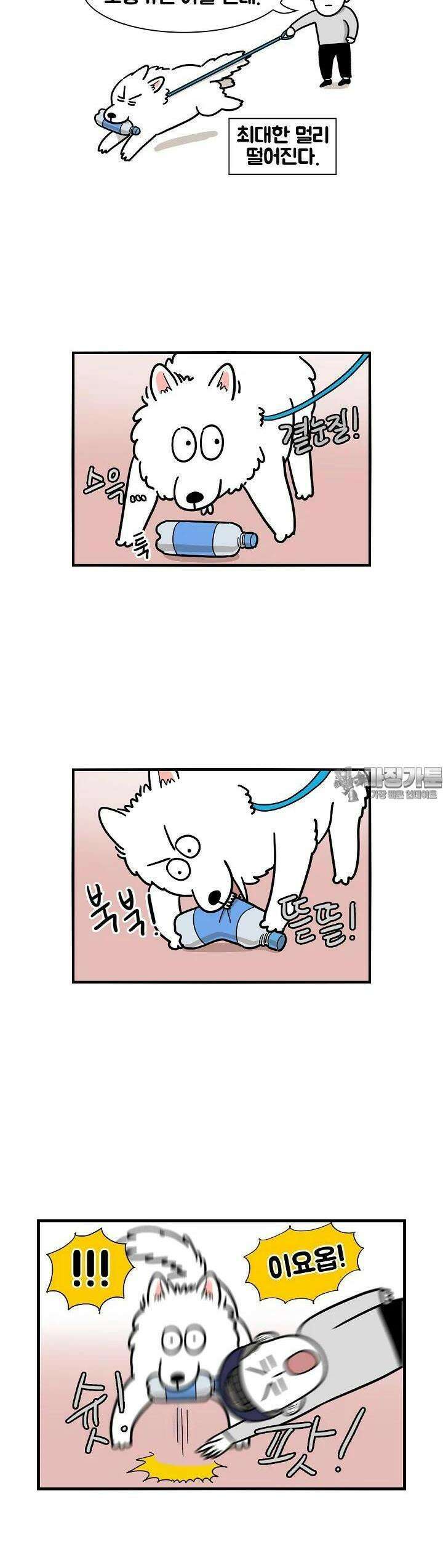 극한견주 17화 솜이가 주웠어 4