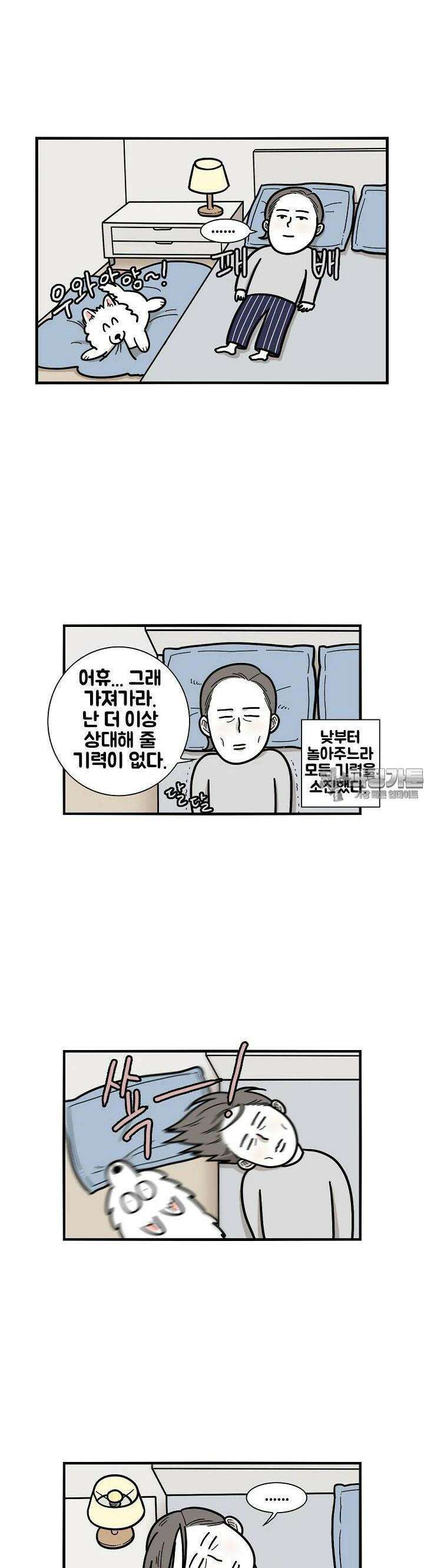 극한견주 25화 밤 1 3