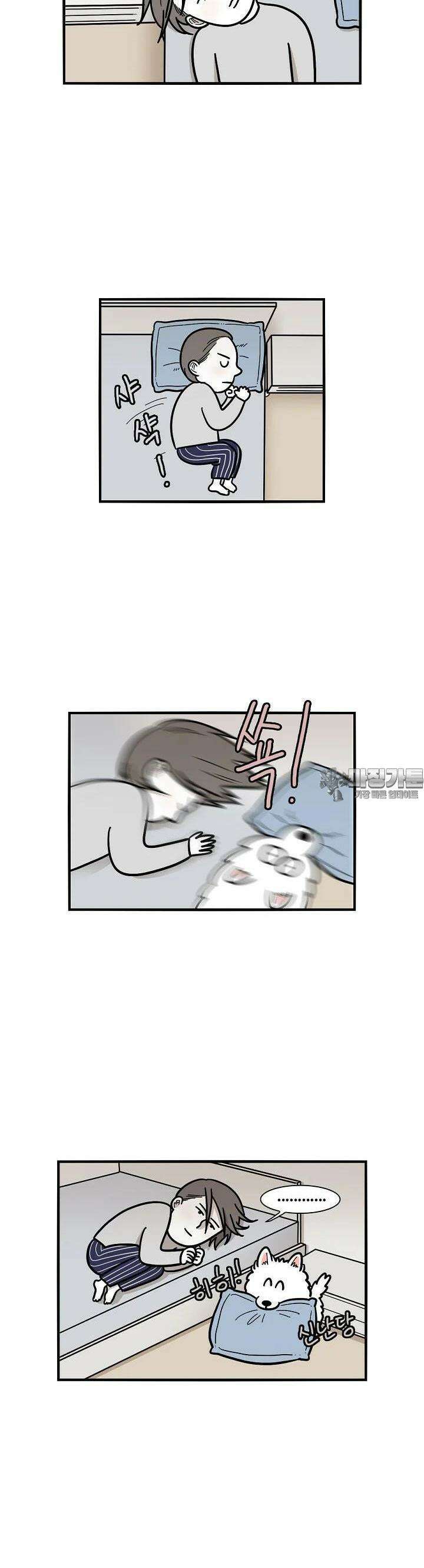 극한견주 25화 밤 1 4