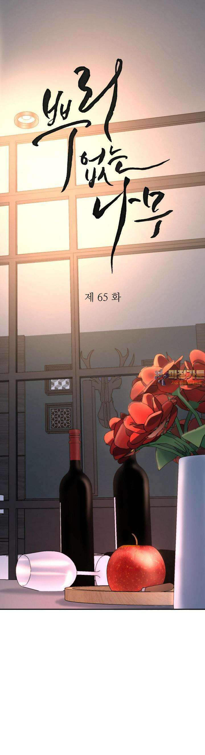 뿌리 없는 나무 65화 1