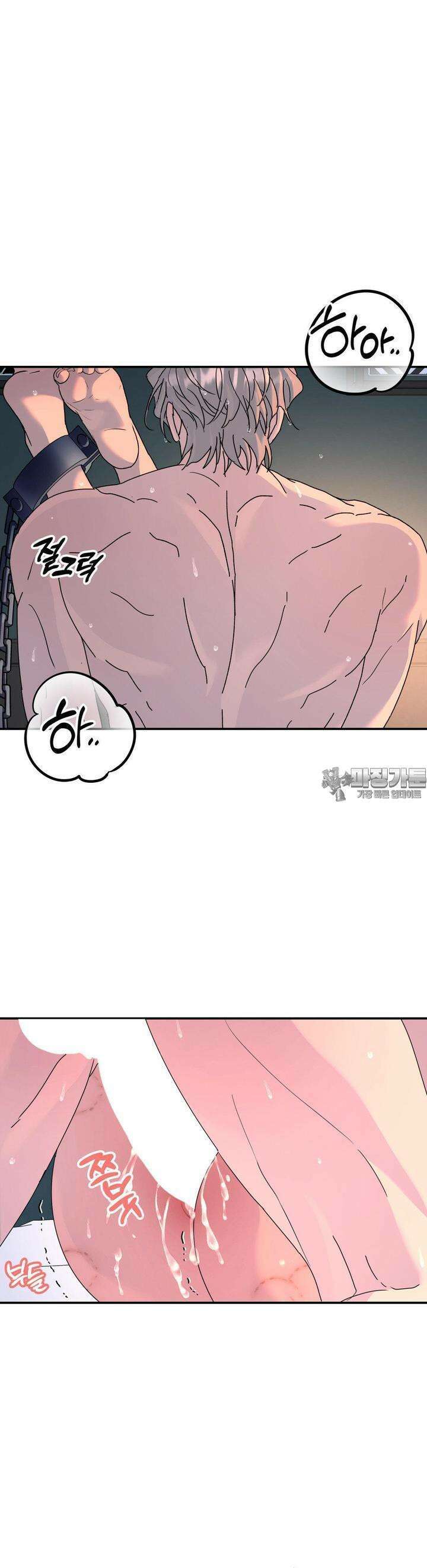 뿌리 없는 나무 65화 19
