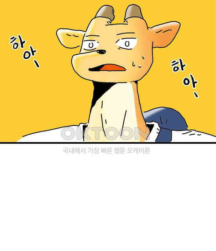소심한 호랭이 코코 19화 짝꿍은 일등이야 (3)완 77