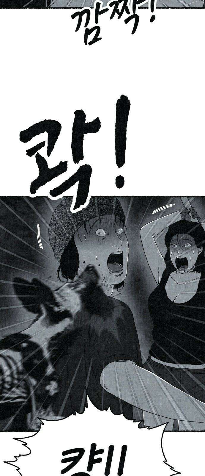 벌집 33화 19