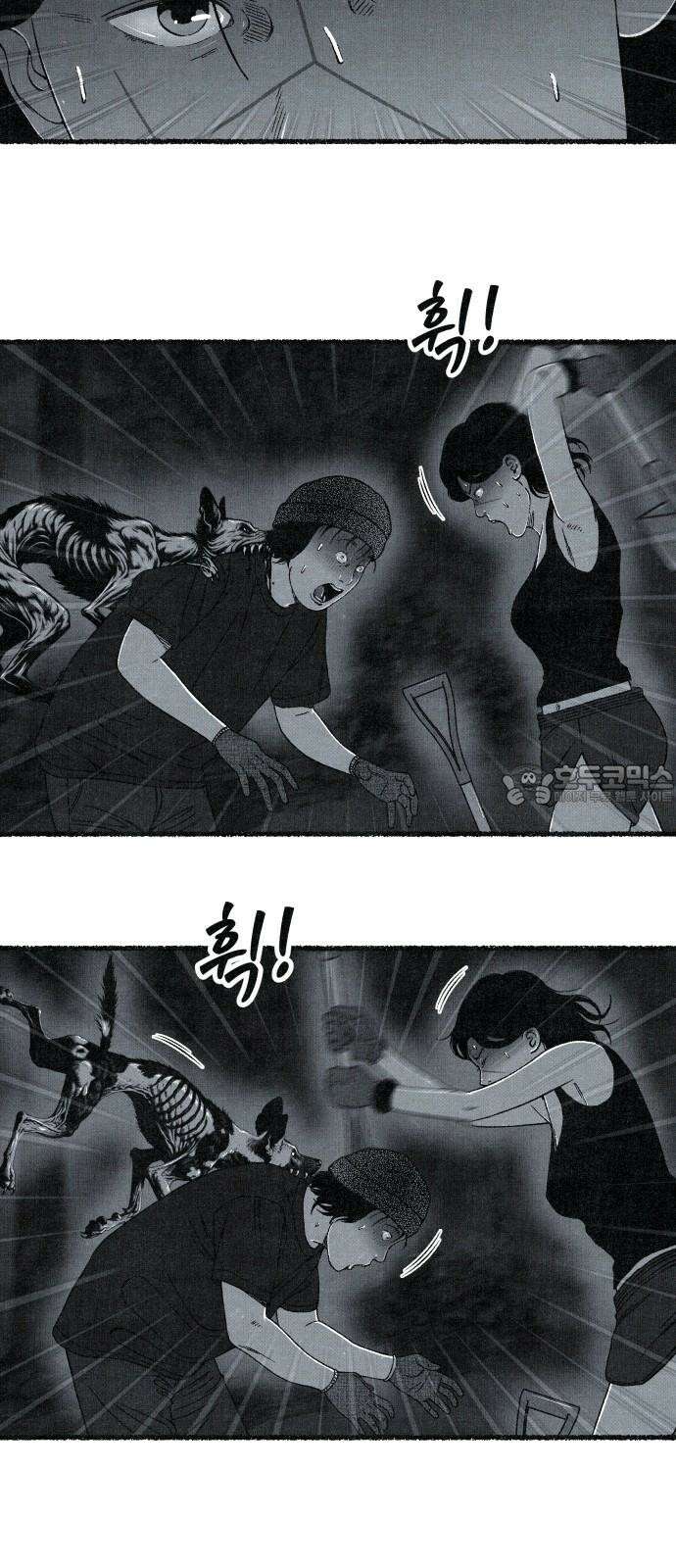 벌집 33화 21