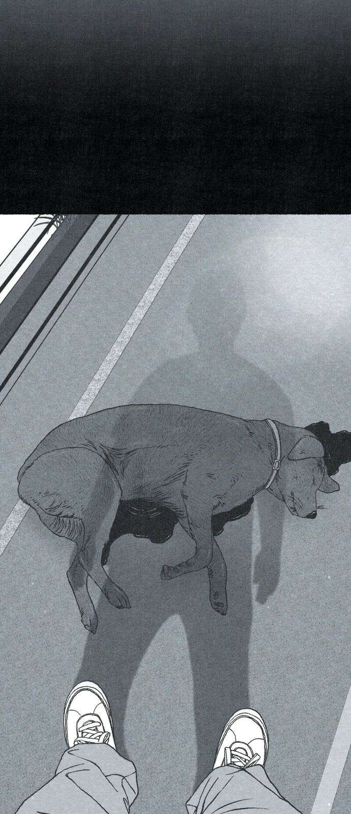 벌집 33화 44