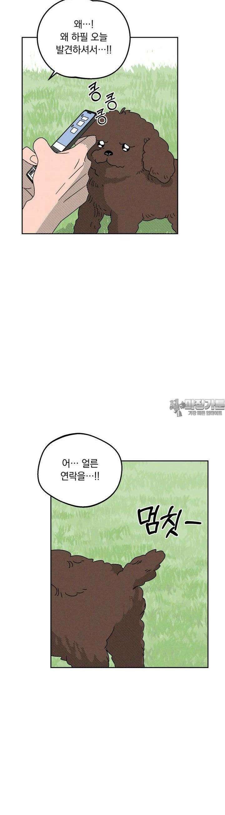 입 맞추는 사이 10． 대외비 35