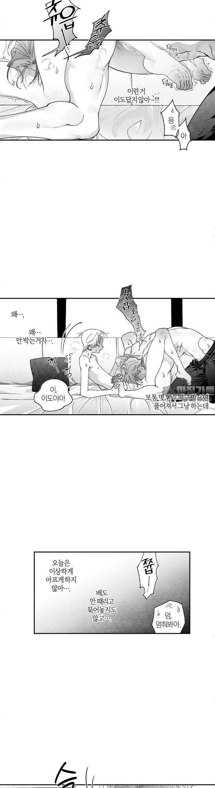가장 완벽한 도형 21화 4