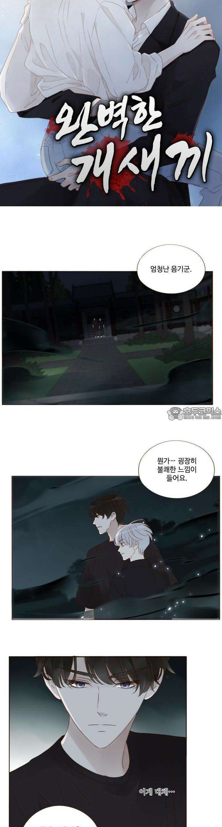완벽한 개새끼 51화 2