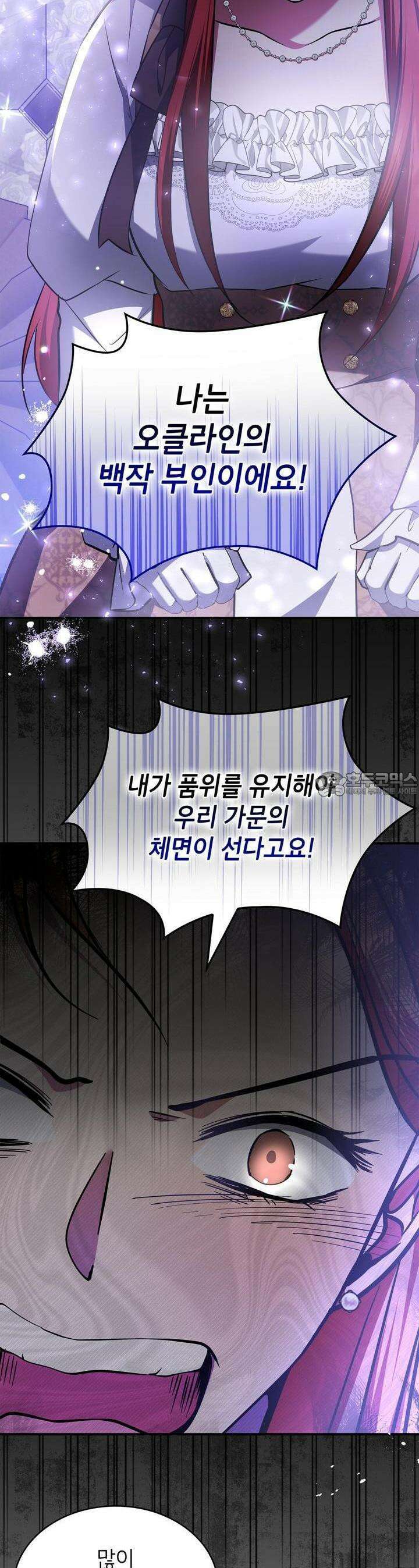 괴짜 영애님의 약혼자 33화 20