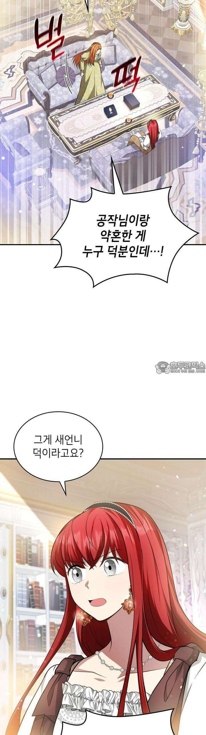 괴짜 영애님의 약혼자 33화 29