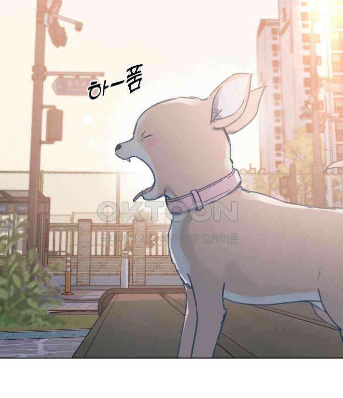사랑하는 여름 하늘 17화 91