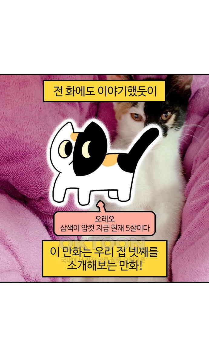 유부 감자 56화 나의 동물 친구들 (3) 2