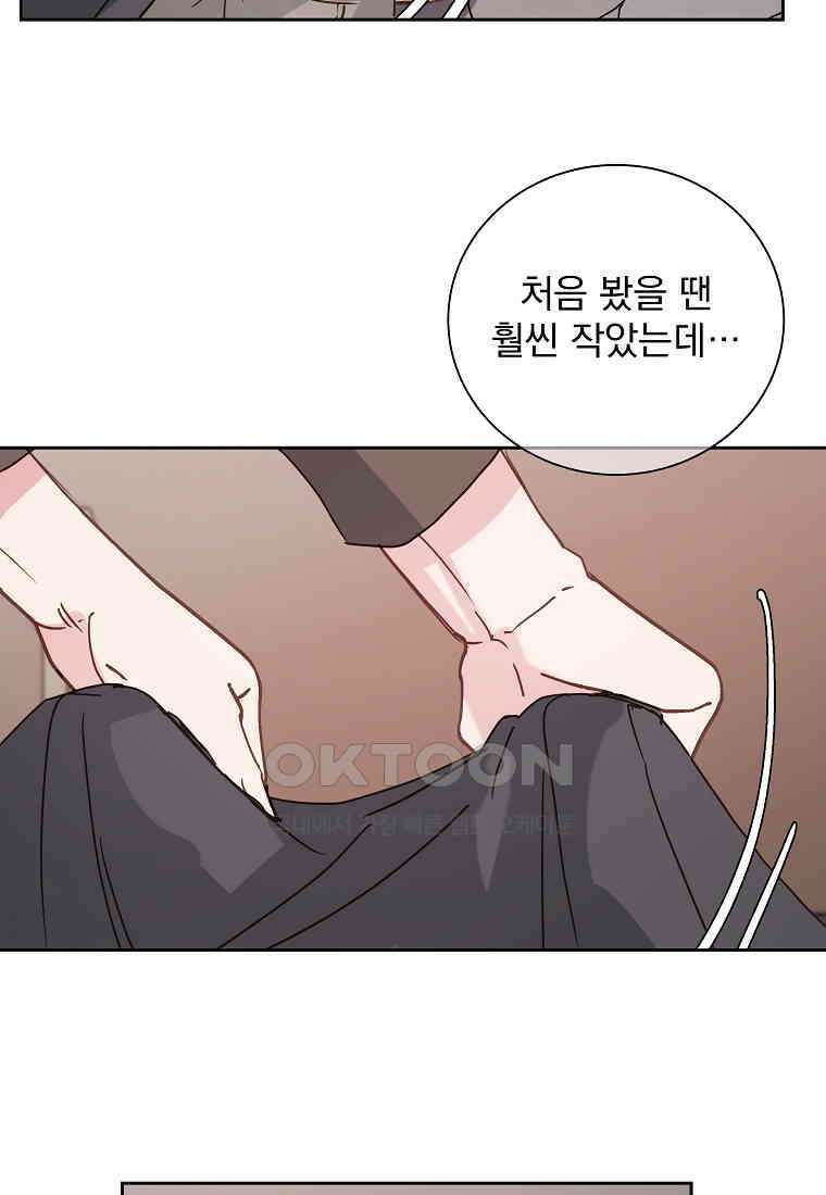 해 밝은 밤의 산책 36 6