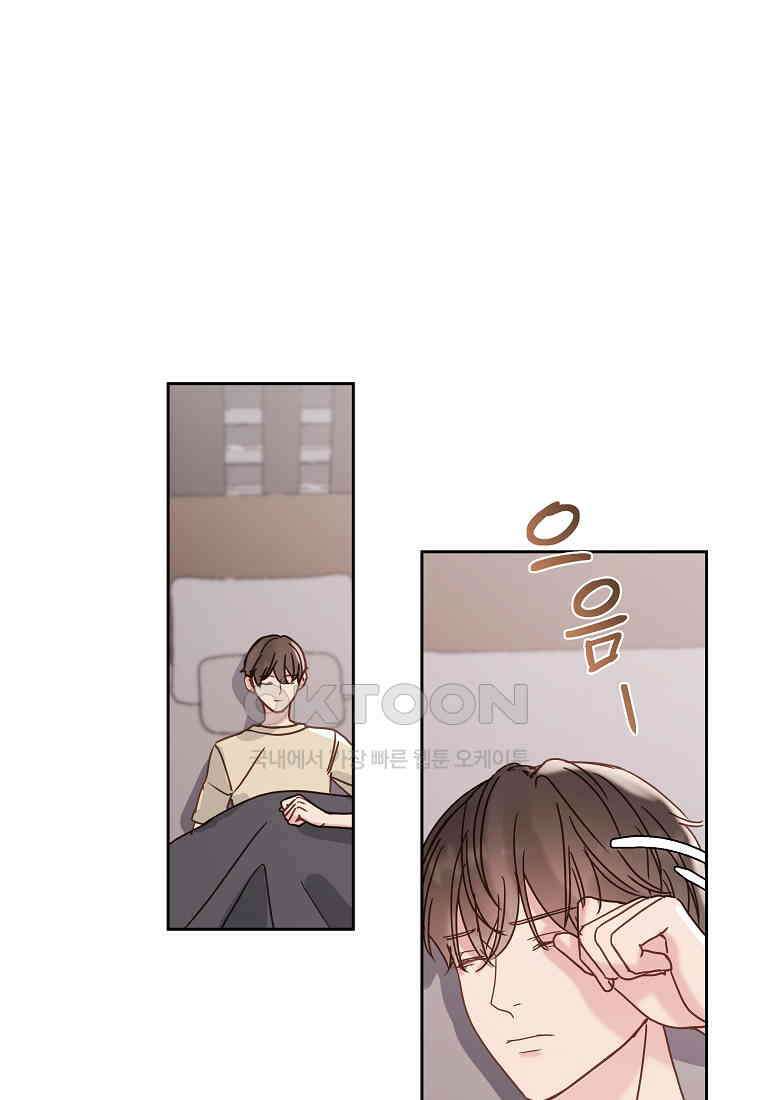 해 밝은 밤의 산책 36 11