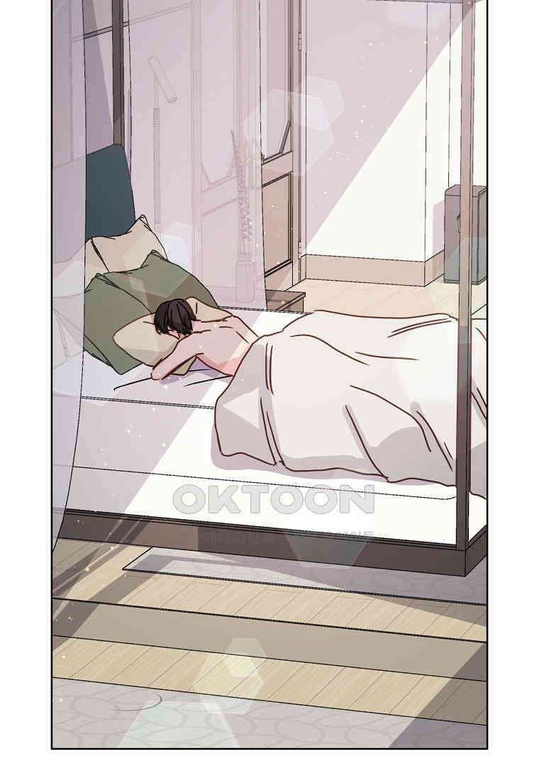 해 밝은 밤의 산책 72 2