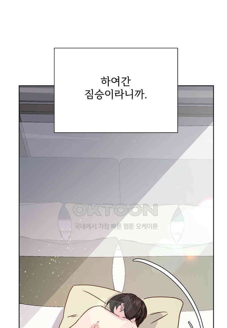 해 밝은 밤의 산책 72 8