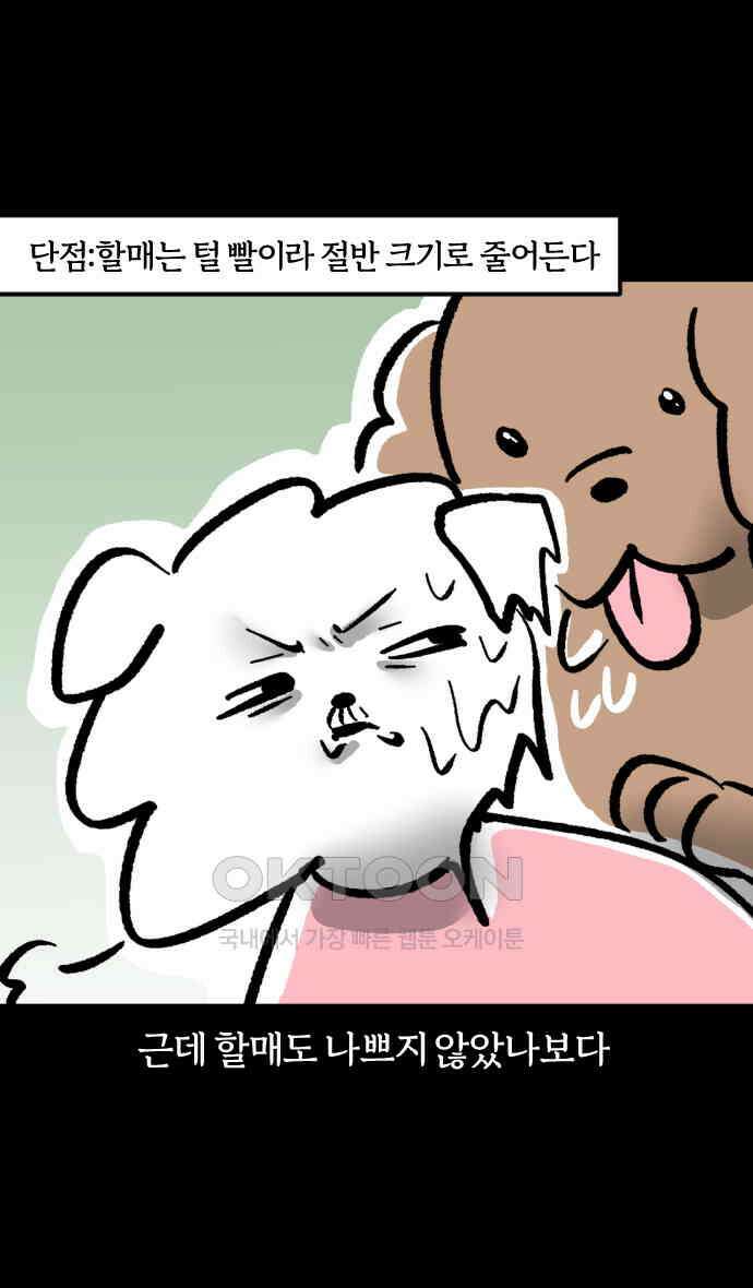 개집사 20화 해가 저무는 피바다 21