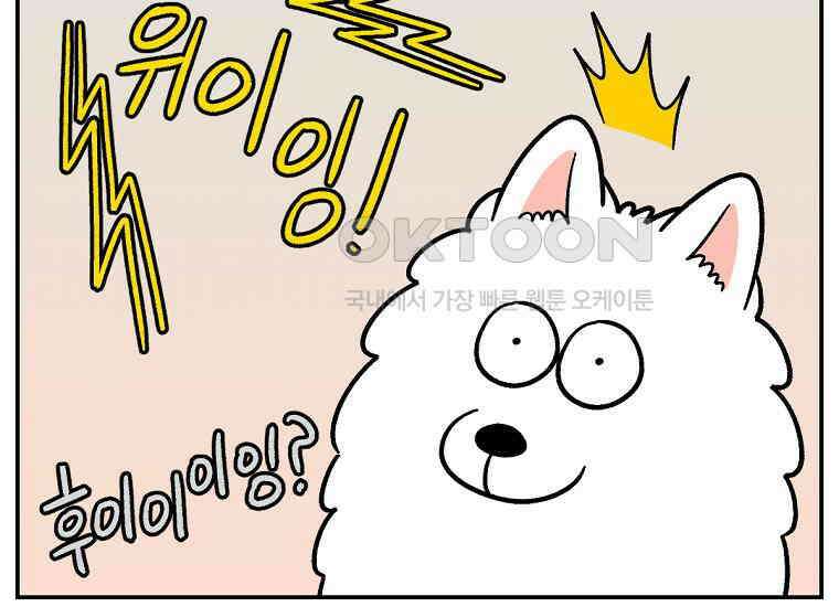 극한견주 시즌2 14화 출판사 방문기(1) 7