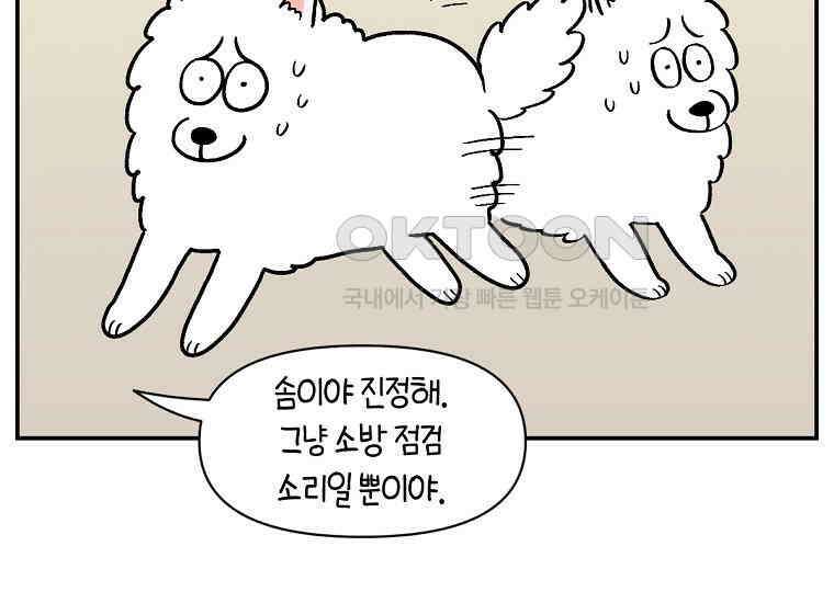 극한견주 시즌2 14화 출판사 방문기(1) 11