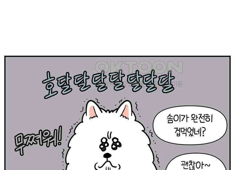 극한견주 시즌2 14화 출판사 방문기(1) 12