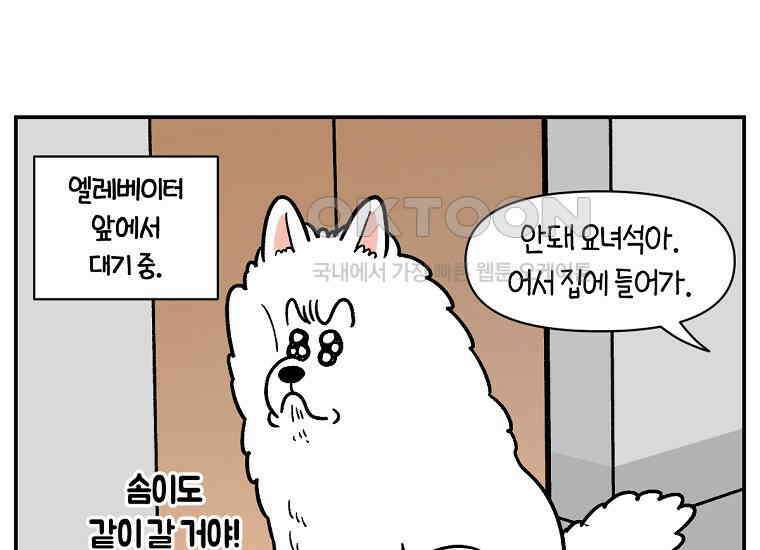 극한견주 시즌2 14화 출판사 방문기(1) 23