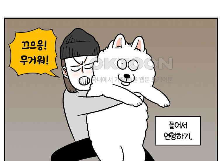 극한견주 시즌2 14화 출판사 방문기(1) 25