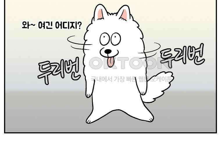 극한견주 시즌2 14화 출판사 방문기(1) 44