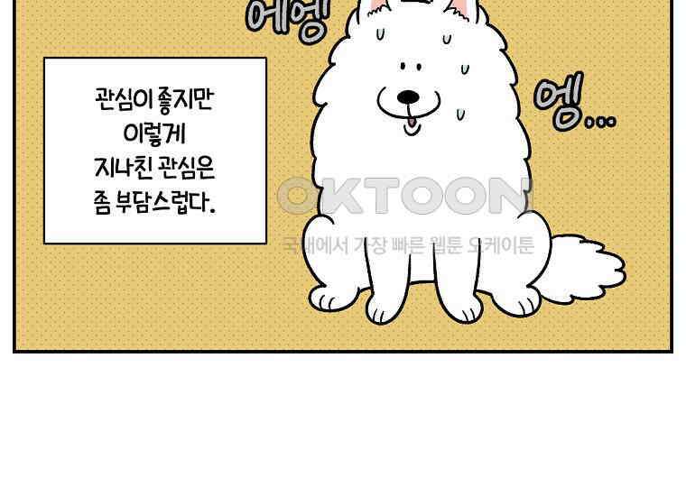 극한견주 시즌2 14화 출판사 방문기(1) 47