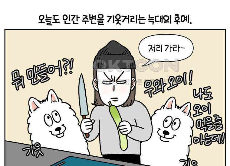 극한견주 시즌2 21화 기웃대는 개 3